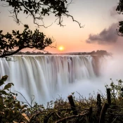 C’est le paysage phare à visiter au Zimbabwe et c’est ici que vous risquez de croiser le plus de touristes. Situées à la frontière avec la Zambie, un pont permet de passer d’un pays à l’autre. 
Les chutes forment un mur d’1,7 km où le fleuve Zambèze se jette dans un canyon de 100 mètres de profondeur dans un bruit fracassant. Le site offre la possibilité de se balader sur les hauteurs des chutes et le long du Zambèze. 
C’est une occasion unique pour observer la richesse de la faune et la beauté du paysage. 
Une boucle dans la forêt humide est vivement recommandée pour apprécier la variété de la biodiversité de la région.
A noter que les hautes eaux ont lieu en mars-avril, c’est à cette période que vous pourrez assister au phénomène de brouillard d’eau et aux arcs-en-ciel.