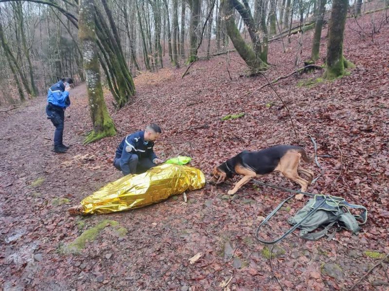 Image for the Tweet beginning: #HérosDuQuotidien 💙 Slider sauve la